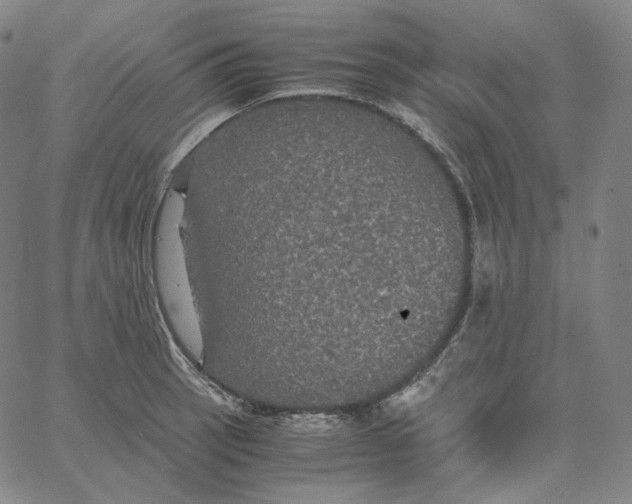 X0000062621137200601181648