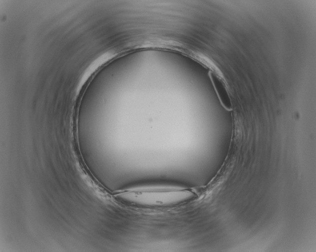 X0000062621138200601181648