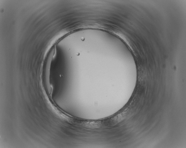 X0000062621139200601181648