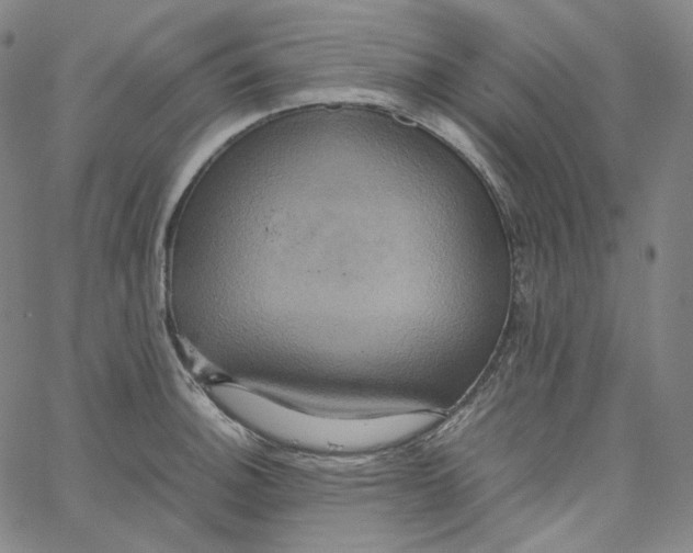 X0000062621140200601181648