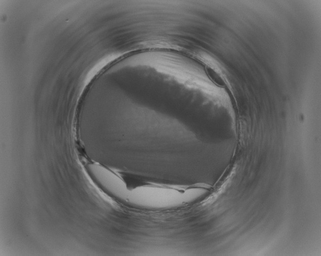 X0000062621141200601181648