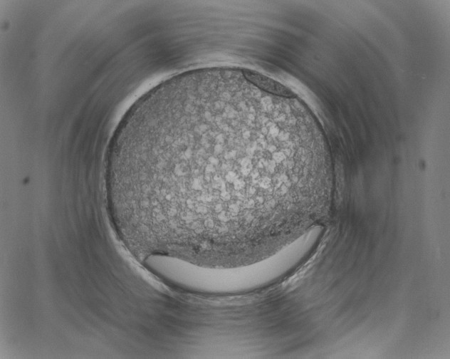 X0000062621142200601181648