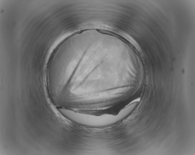 X0000062621144200601181648