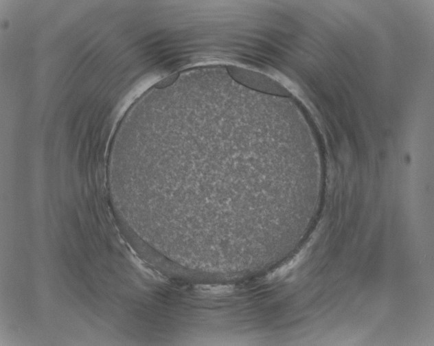 X0000062621145200601181648