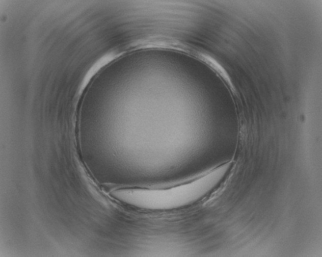 X0000062621146200601181648