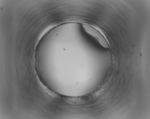 X0000062621147200601181648