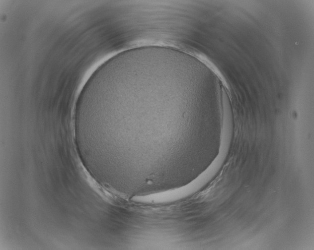 X0000062621148200601181648