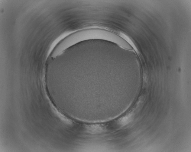 X0000062621149200601181648