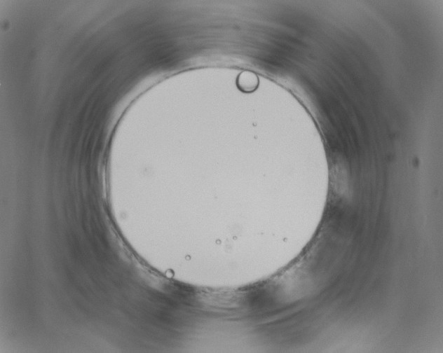 X0000062621150200601181648