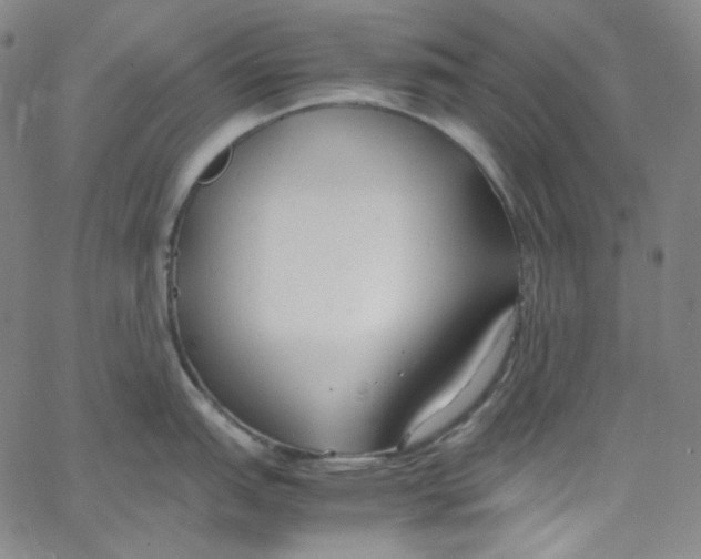 X0000062621151200601181648