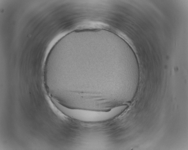 X0000062621152200601181648