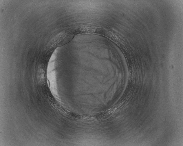 X0000062621154200601181647