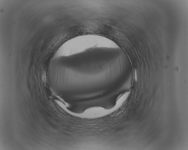 X0000062621155200601181647