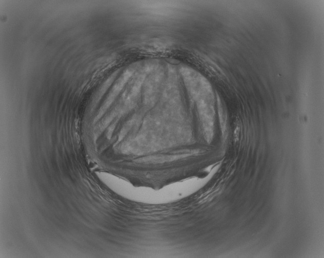 X0000062621156200601181647