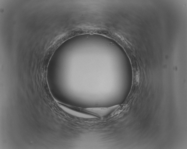 X0000062621157200601181647