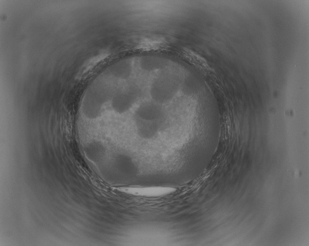 X0000062621158200601181647