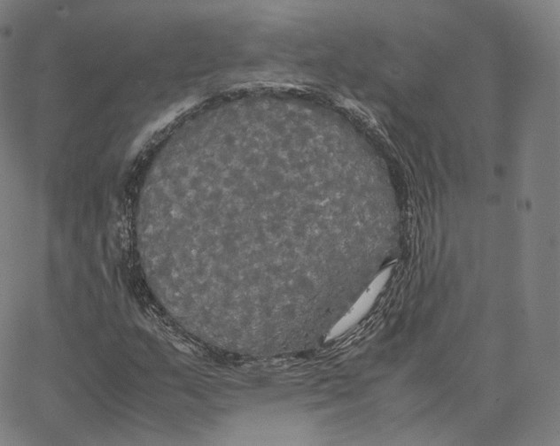 X0000062621159200601181647