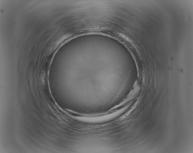 X0000062621161200601181647