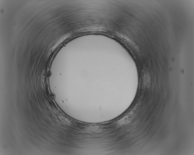 X0000062621162200601181647