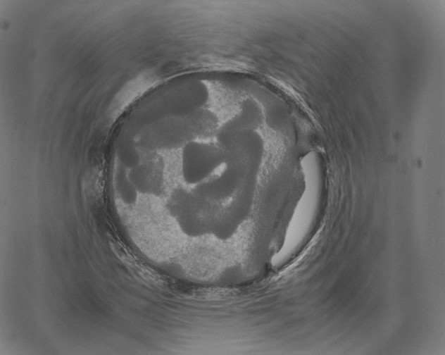 X0000062621163200601181647