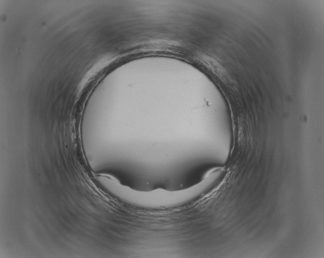 X0000062621164200601181647