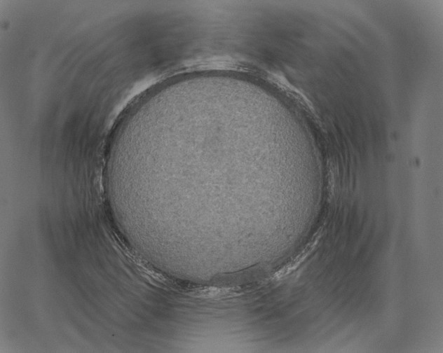 X0000062621166200601181647