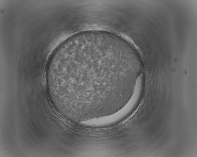 X0000062621167200601181647