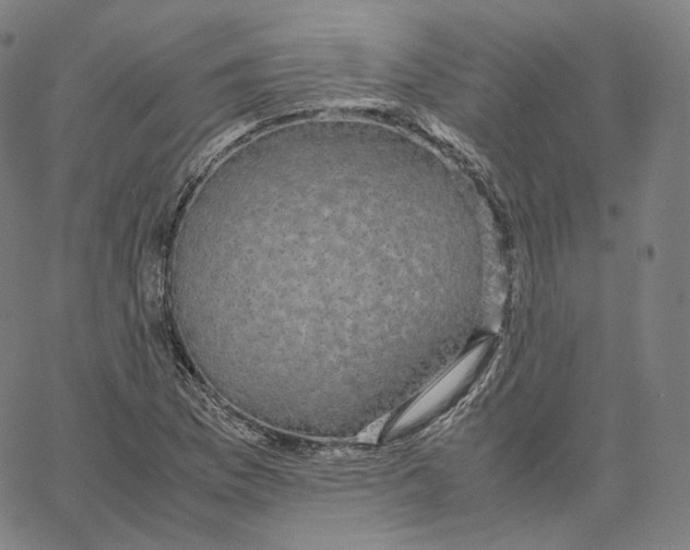 X0000062621169200601181647