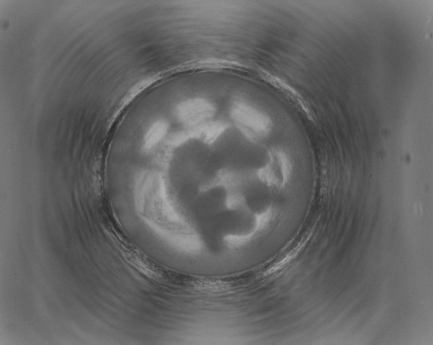 X0000062621170200601181647