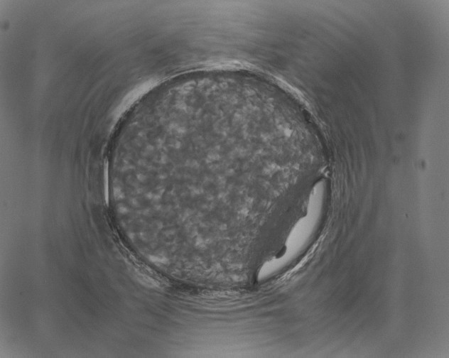 X0000062621171200601181647