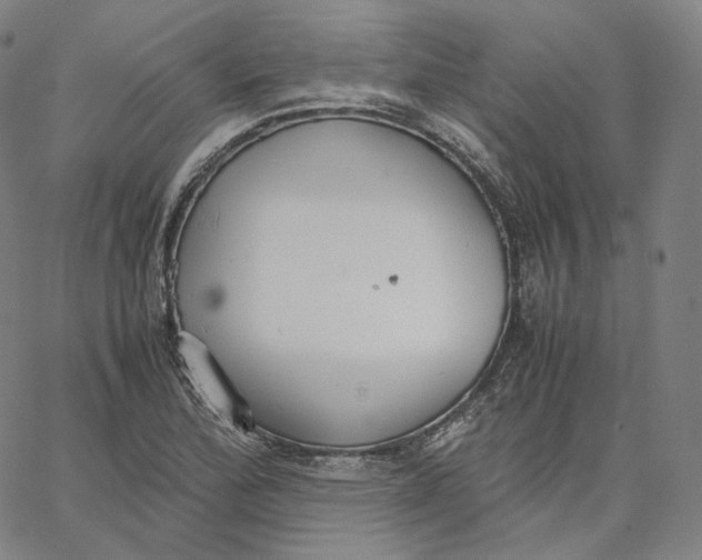 X0000062621172200601181647