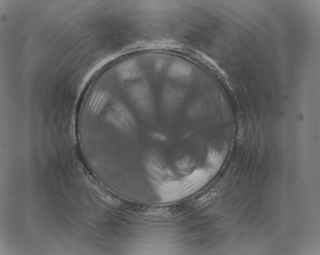 X0000062621174200601181647