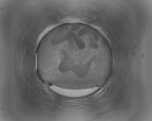 X0000062621175200601181647