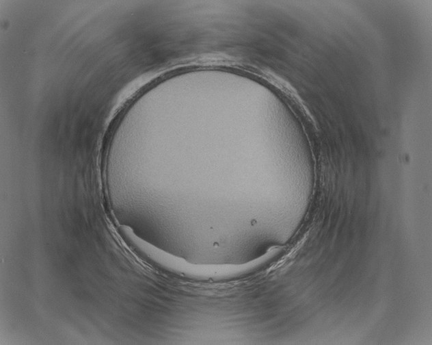 X0000062621176200601181647