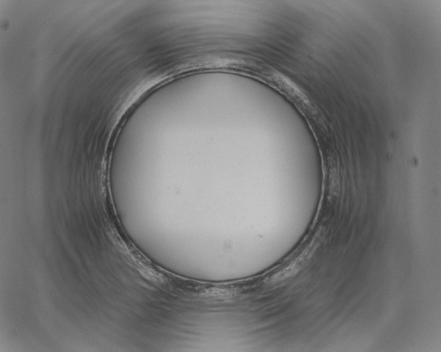 X0000062621178200601181647