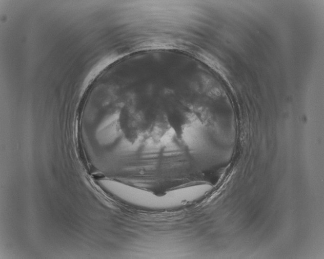 X0000062621179200601181647