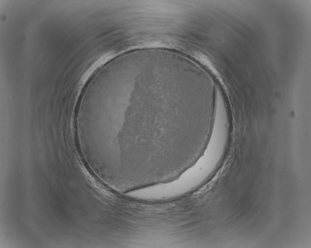 X0000062621181200601181647