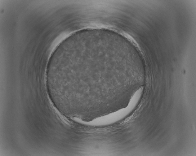 X0000062621183200601181647