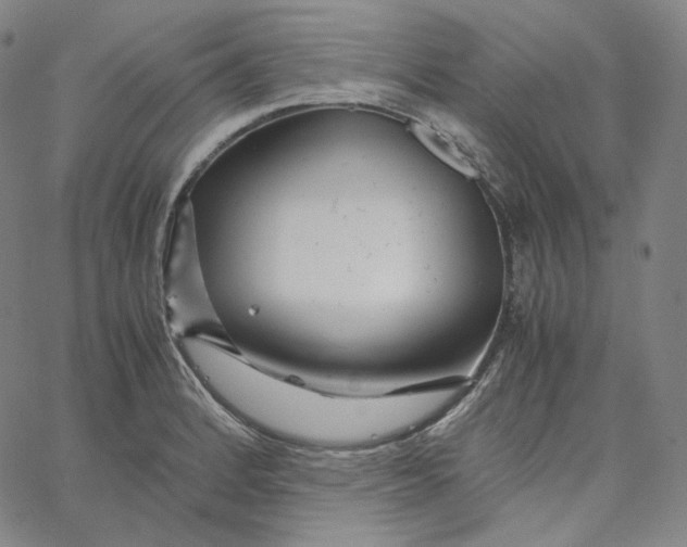 X0000062621184200601181647