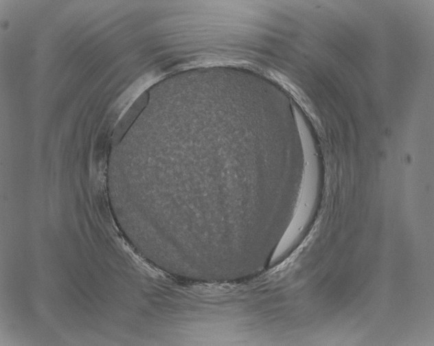 X0000062621185200601181647