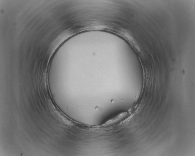 X0000062621186200601181647