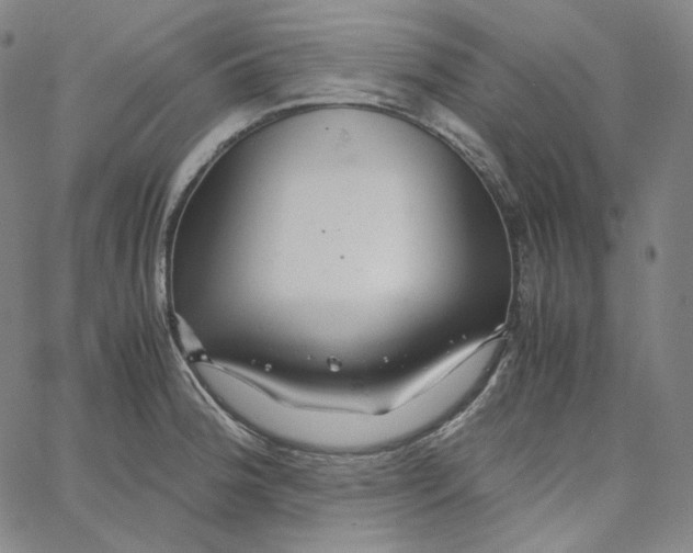 X0000062621188200601181647