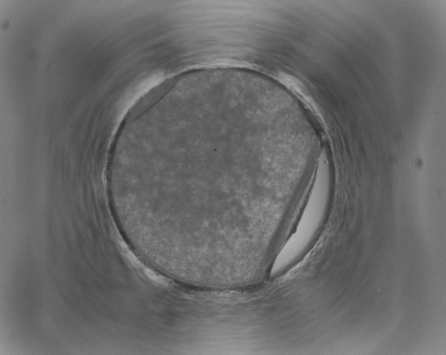 X0000062621189200601181647