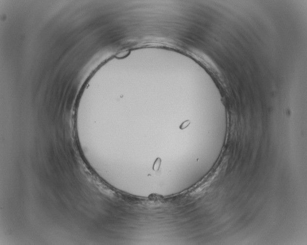 X0000062621190200601181647