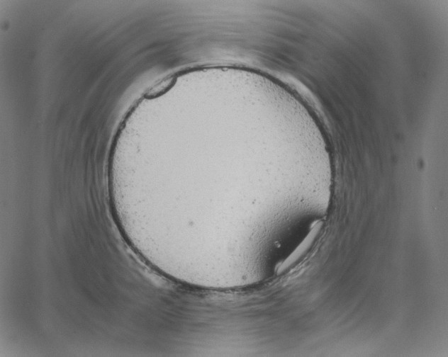 X0000062621191200601181647