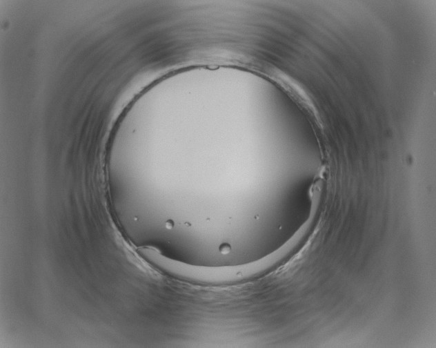 X0000062621192200601181647