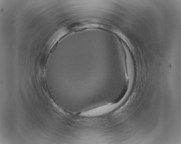 X0000062621193200601181647