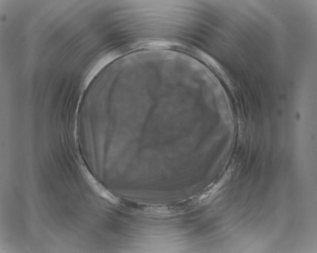 X0000062621194200601181647