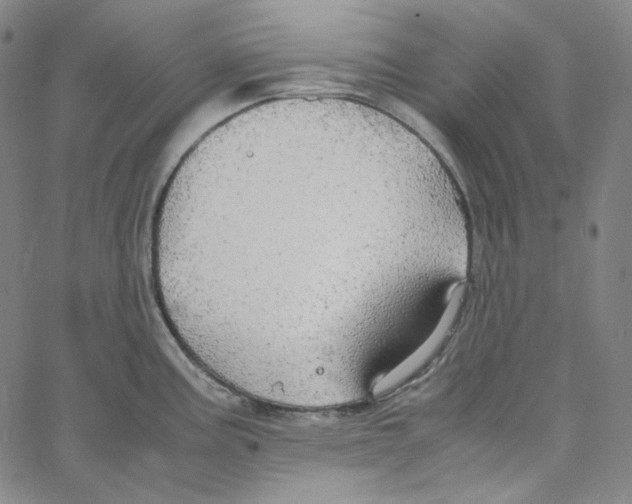 X0000062621195200601181647