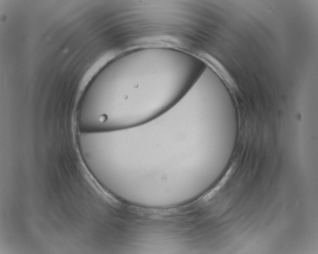 X0000062621196200601181647